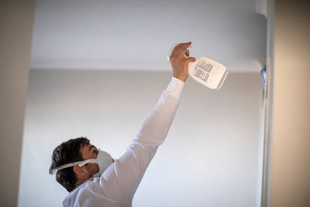 Best Local Mold Removal Service  in Kalifornsky, AK
